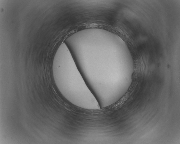 X0000078290761200611030952