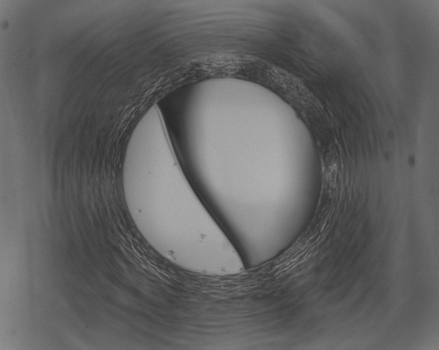 X0000078290772200611030951