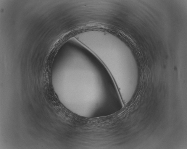 X0000078290776200611030951