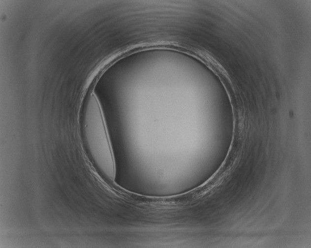 X0000078290789200611030951
