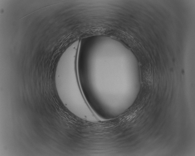 X0000078290818200611030949