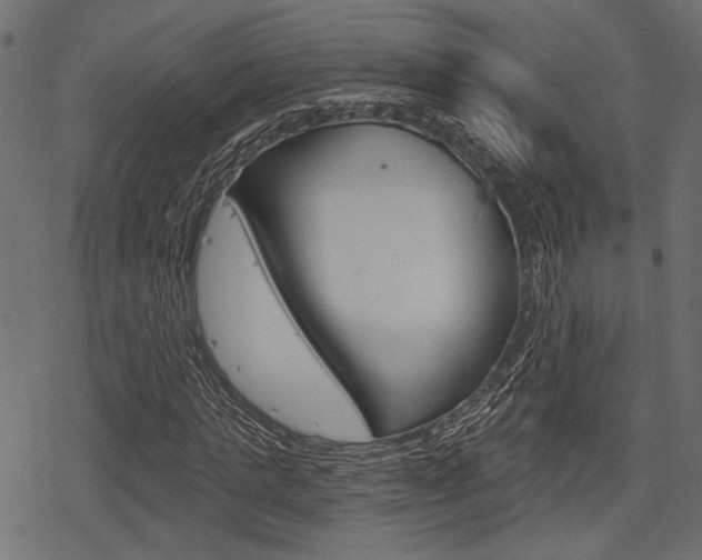 X0000078290821200611030950