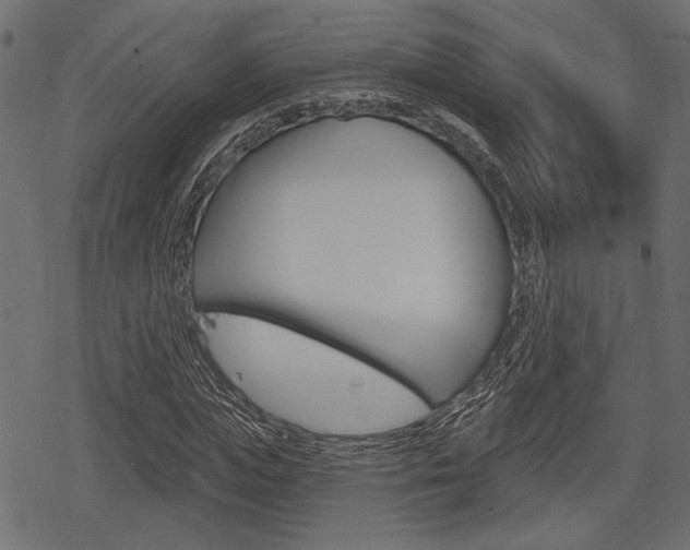 X0000078290823200611030950