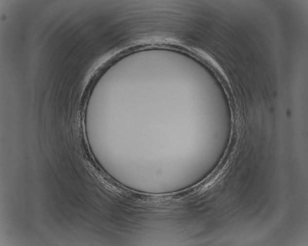 X0000078290831200611030950