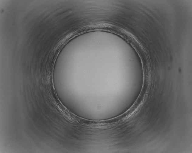 X0000078290833200611030950