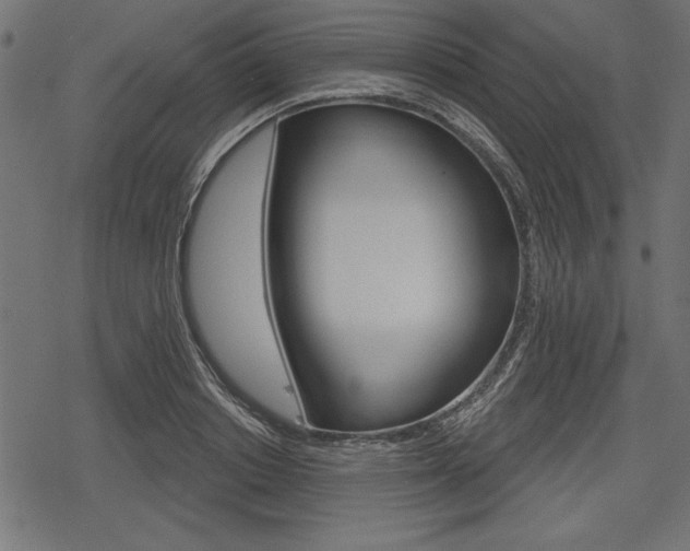 X0000078290842200611030950