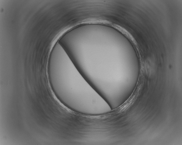 X0000078290855200611030950