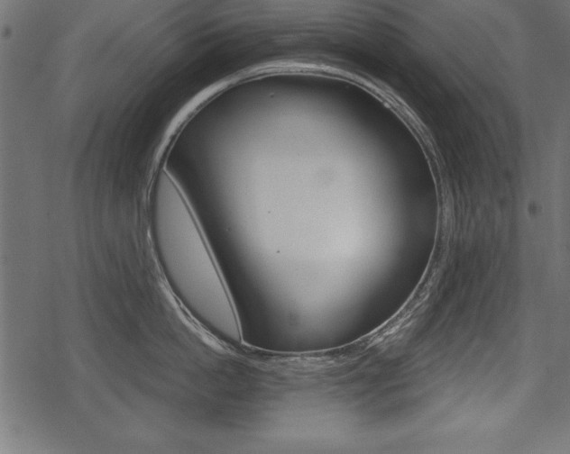 X0000078290862200611030950
