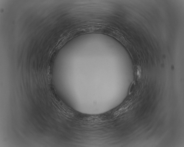 X0000078290867200611030949