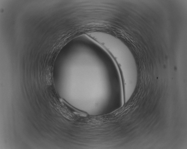 X0000078290868200611030949