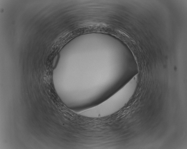 X0000078290869200611030949