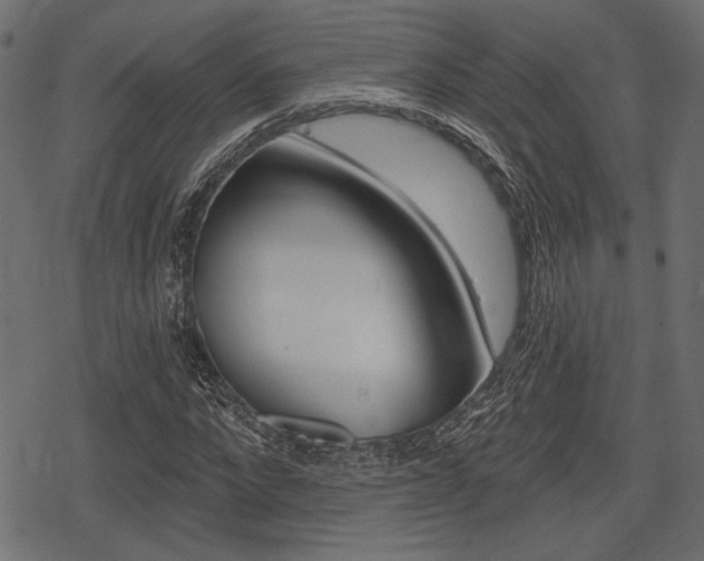 X0000078290872200611030949