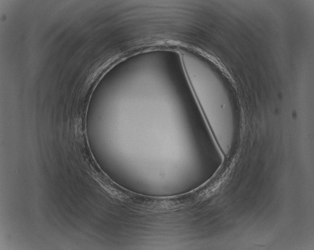 X0000078290881200611030949
