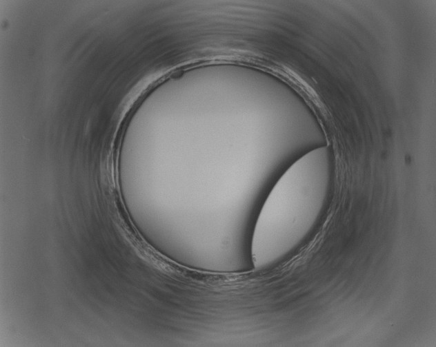 X0000078290891200611030949