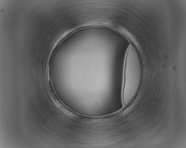 X0000078290892200611030949