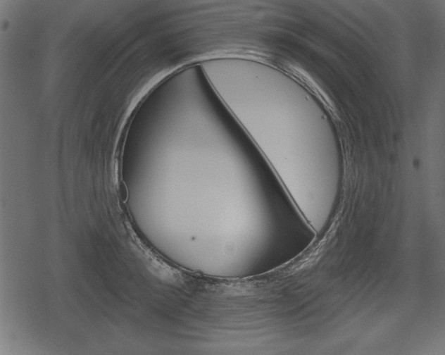 X0000078290900200611030949