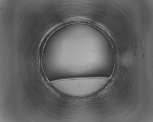 X0000078290931200611030948