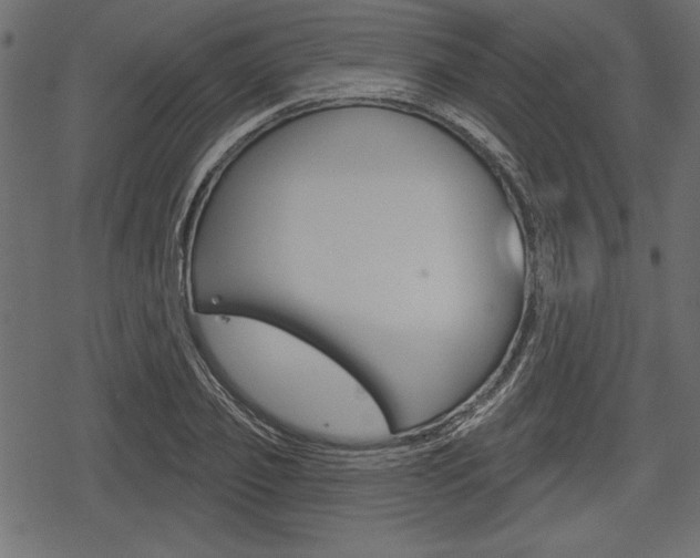 X0000078290933200611030948