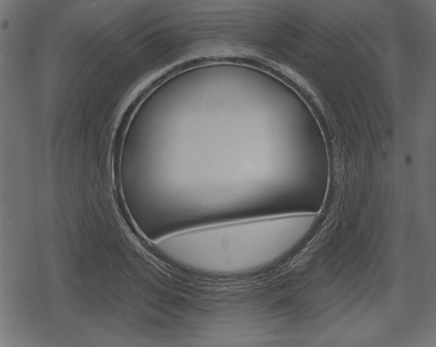 X0000078290935200611030948