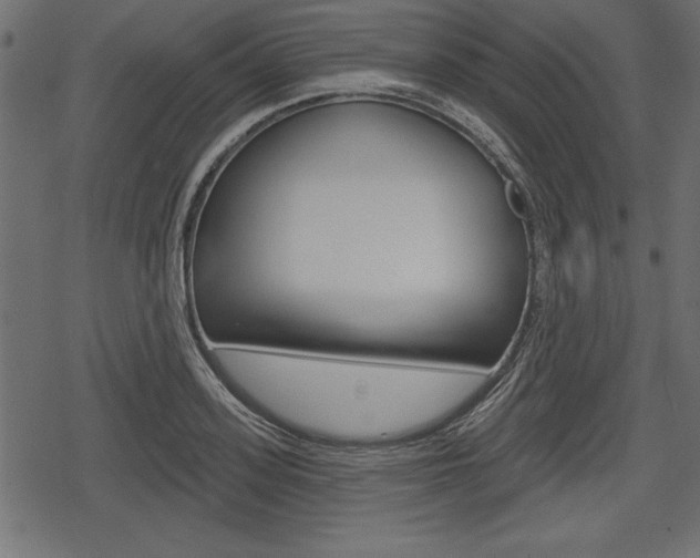 X0000078290939200611030948
