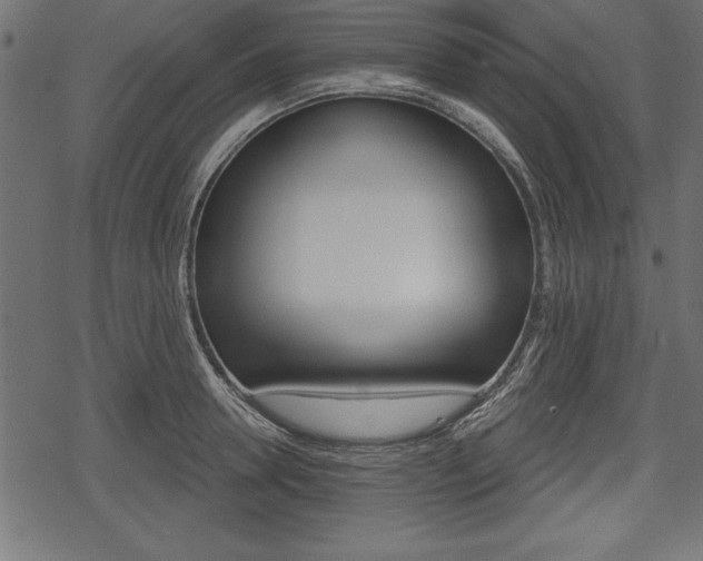 X0000078290946200611030948