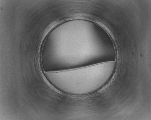 X0000078290949200611030949