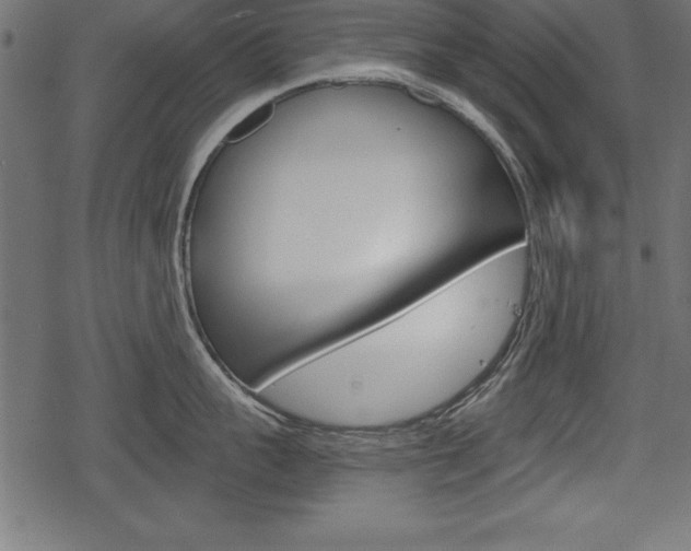 X0000078290959200611030949