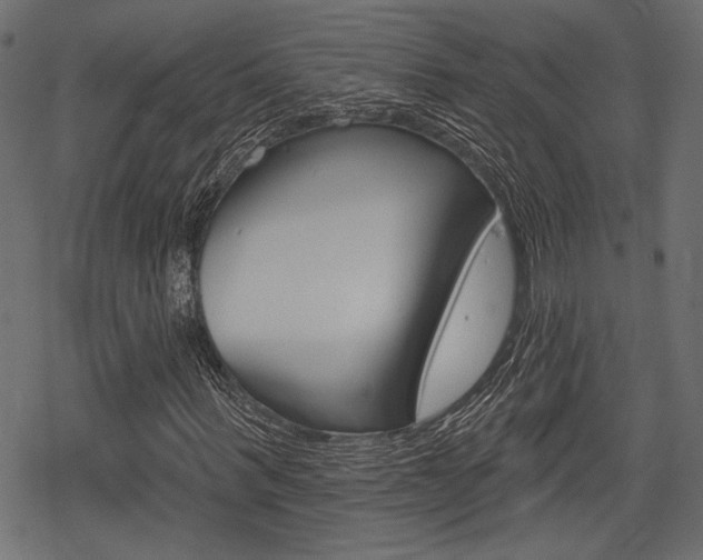 X0000078290963200611030948