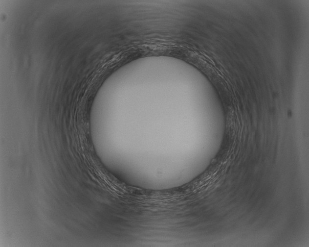 X0000078291009200611030946