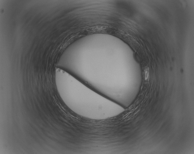 X0000078291011200611030946