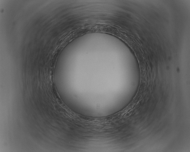 X0000078291013200611030946