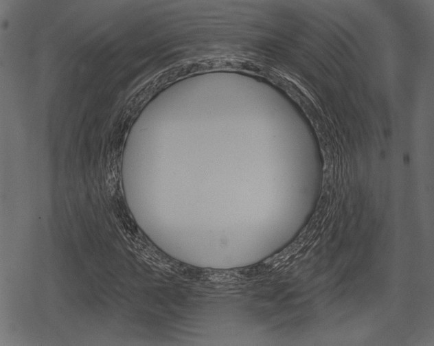 X0000078291015200611030946