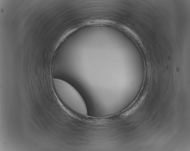 X0000078291041200611030947