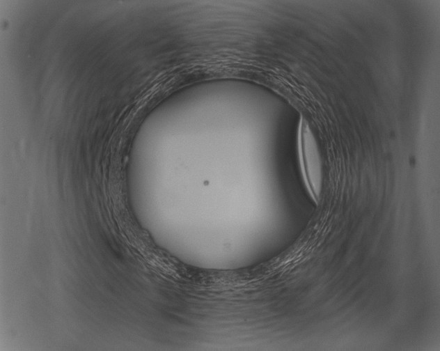 X0000078291057200611030946