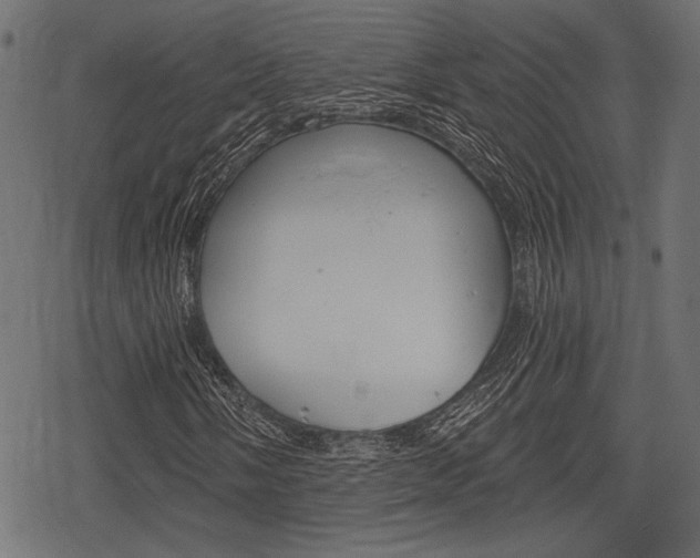 X0000078291058200611030946