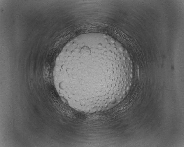 X0000078291059200611030946
