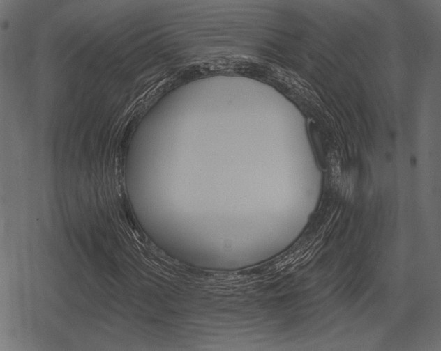 X0000078291060200611030946