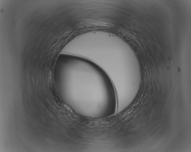 X0000078291061200611030946