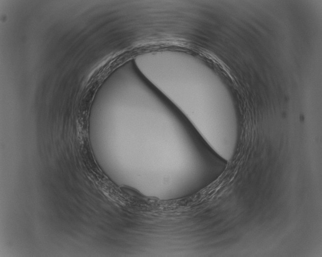 X0000078291064200611030946