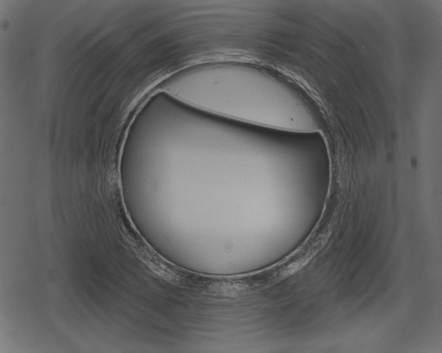 X0000078291073200611030946