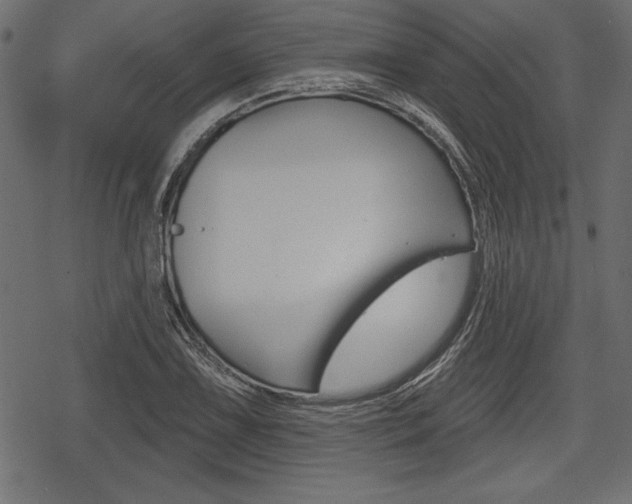 X0000078291075200611030946