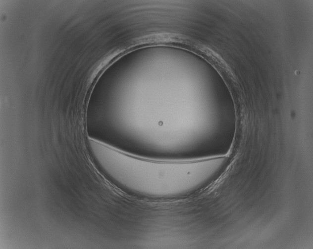 X0000078291081200611030946