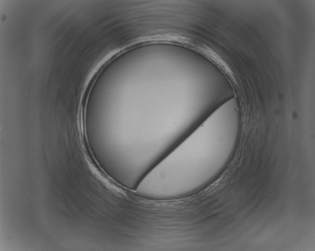 X0000078291084200611030946
