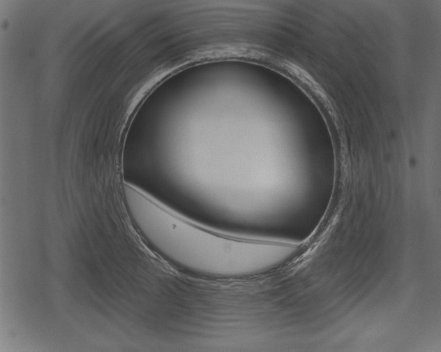 X0000078291089200611030946