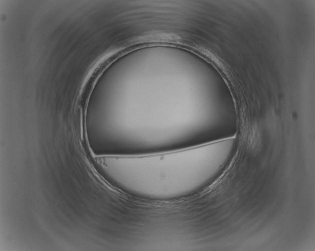 X0000078291123200611030945