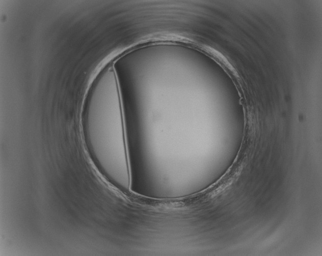 X0000078291133200611030945