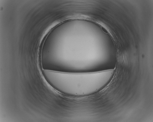 X0000078291139200611030945