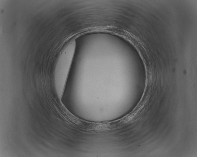 X0000078291161200611030945