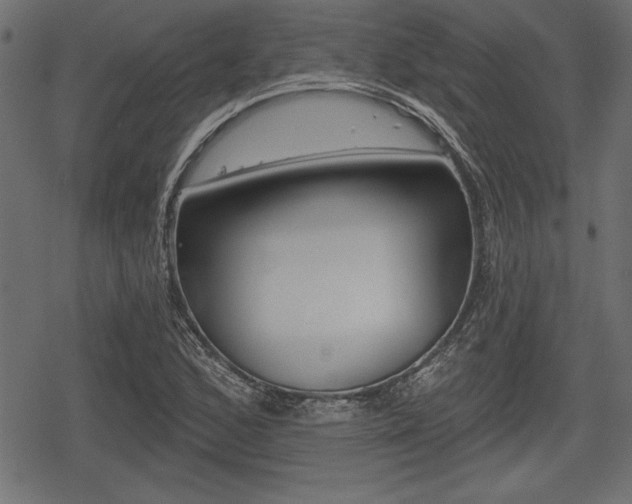 X0000078291168200611030945
