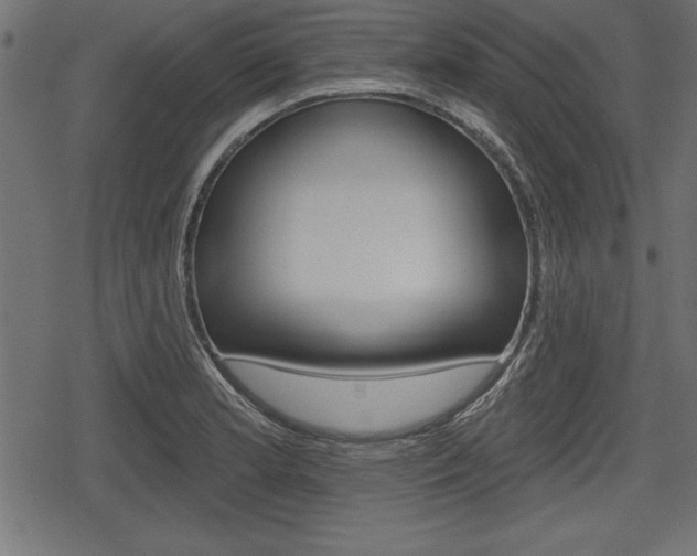 X0000078291181200611030944